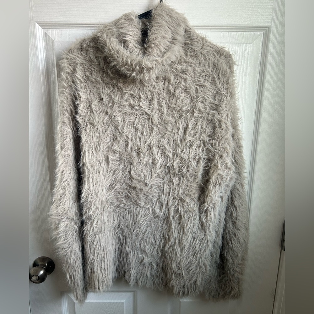 Express sweater turtleneck